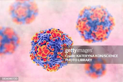 Echo viruses, illustration Echo viruses, illustration