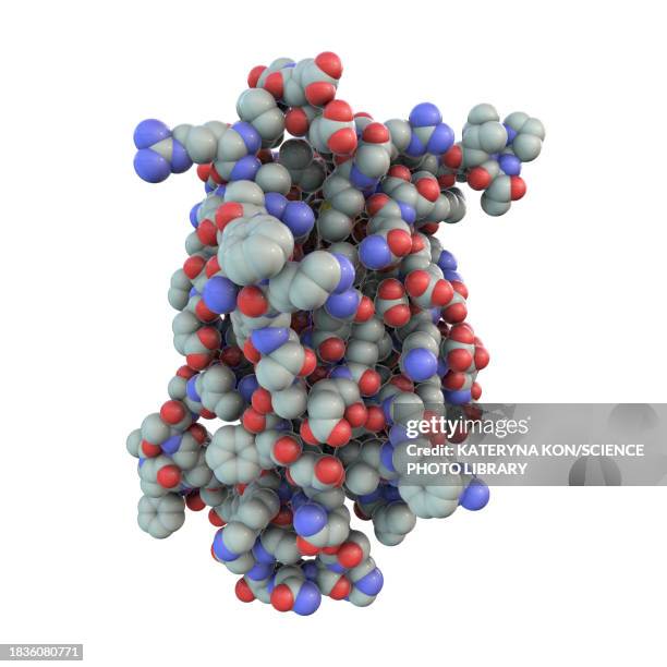 human growth hormone molecule, illustration - polymer molecule stock illustrations
