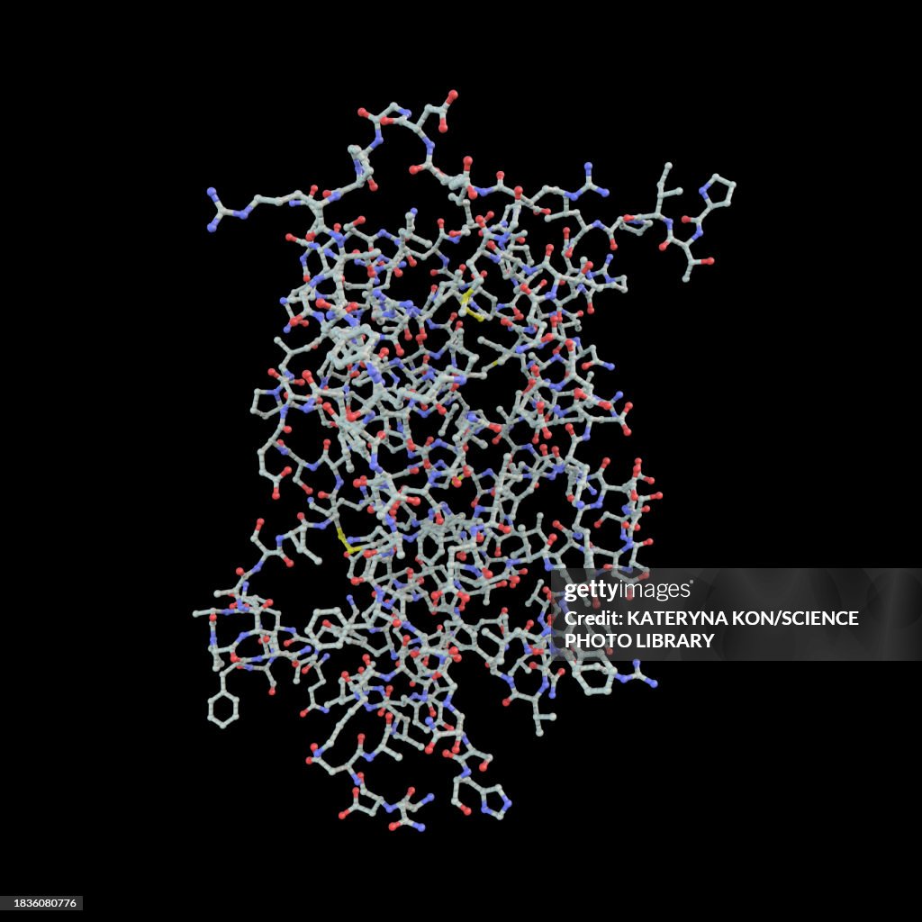 Gh1 Human Growth Hormone Molecule Illustration High-Res Vector Graphic ...