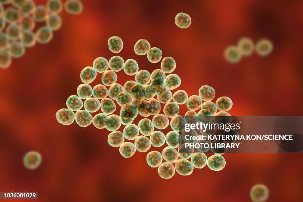 stockillustraties, clipart, cartoons en iconen met staphylococcus bacteria, illustration - abces