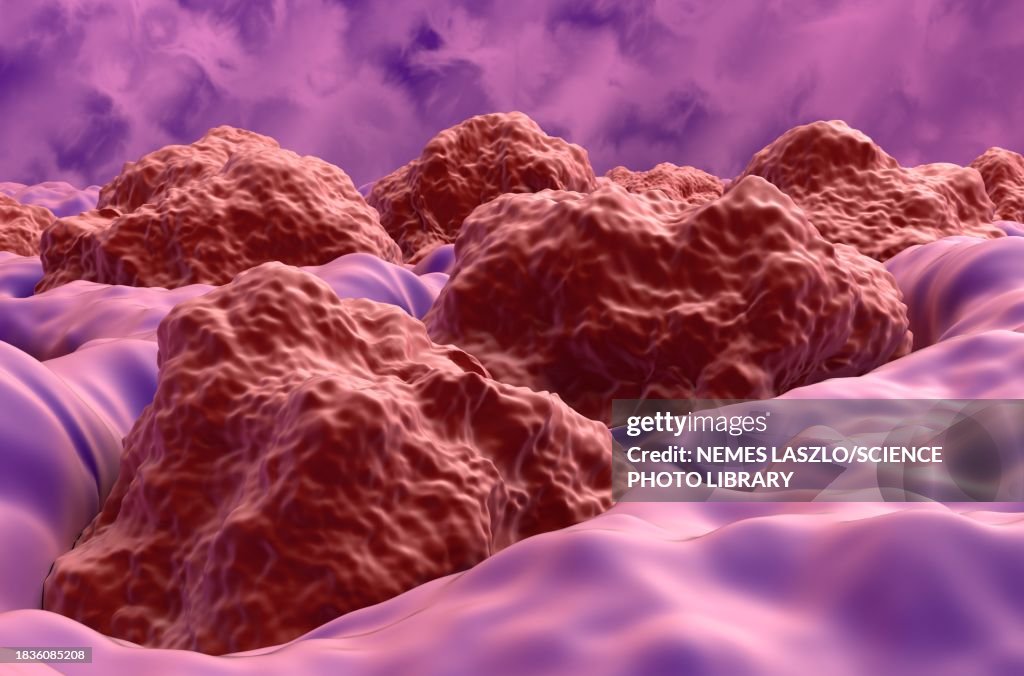 Taste buds, illustration