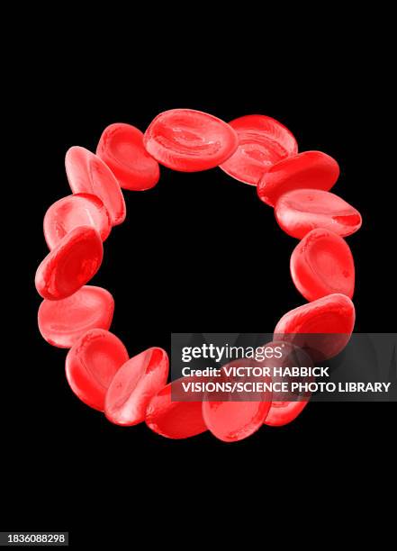 red blood cells, illustration - rotes blutkörperchen stock-grafiken, -clipart, -cartoons und -symbole