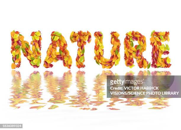 nature, illustration - the fall stock illustrations