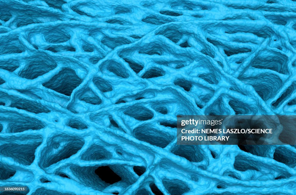 Bio-artificial tissue scaffold, illustration