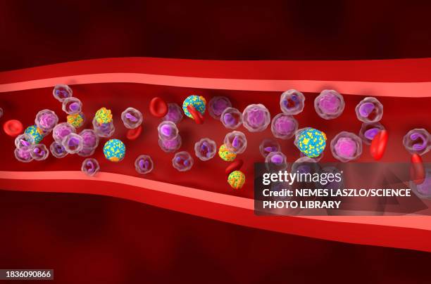 illustrazioni stock, clip art, cartoni animati e icone di tendenza di high and low density lipoproteins, illustration - lipoproteina a bassa densità