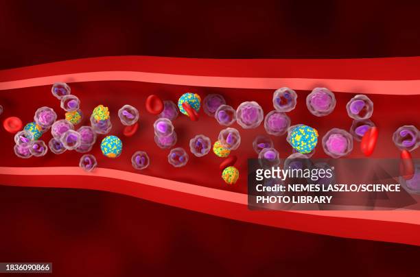 high and low density lipoproteins, illustration - ldl cholesterol stock illustrations