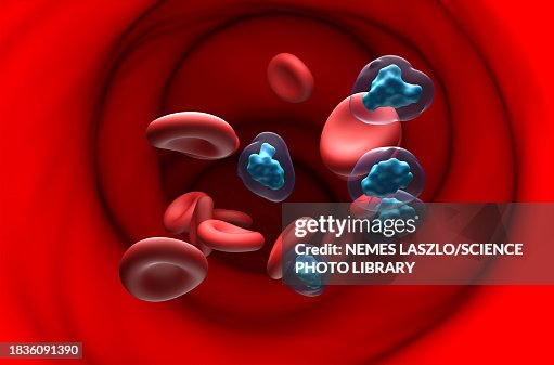 Codeine molecules, illustration Codeine molecules, illustration