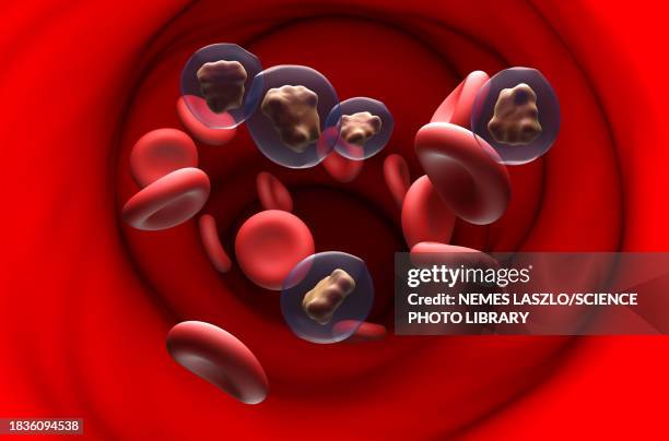 caffeine molecules, illustration - caffeine molecule stock illustrations