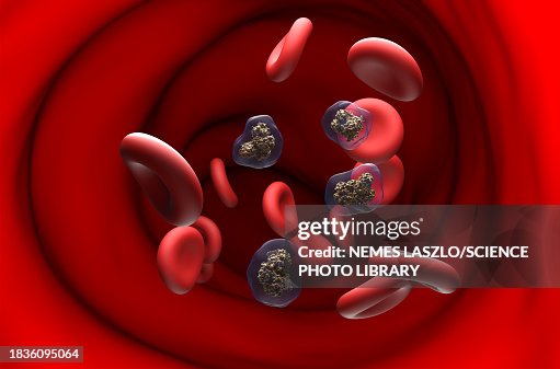 Nicotine molecules, illustration Nicotine molecules, illustration