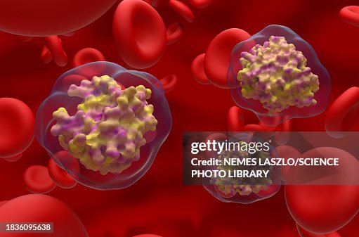 Batroxobin molecules, illustration Batroxobin molecules, illustration
