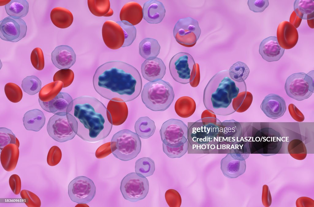 Testosterone Molecules Illustration High-Res Vector Graphic - Getty Images