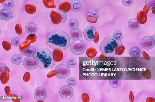 Testosterone molecules, illustration Testosterone molecules, illustration