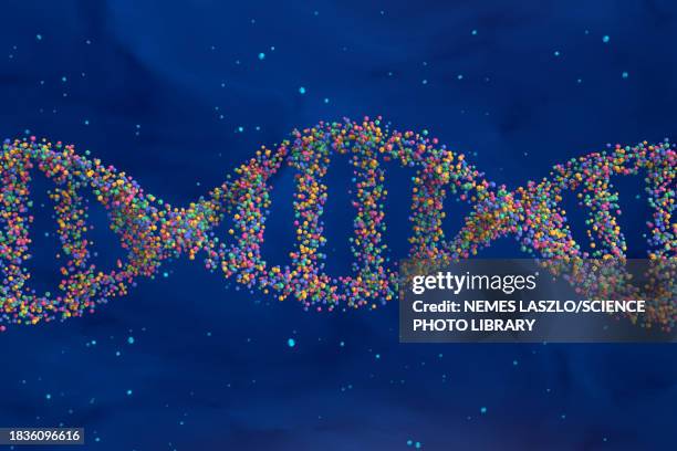 dna molecule, illustration - zucker phosphat rückgrat stock-grafiken, -clipart, -cartoons und -symbole