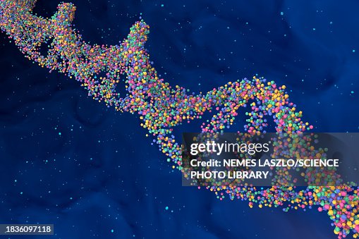 DNA molecule, illustration DNA molecule, illustration