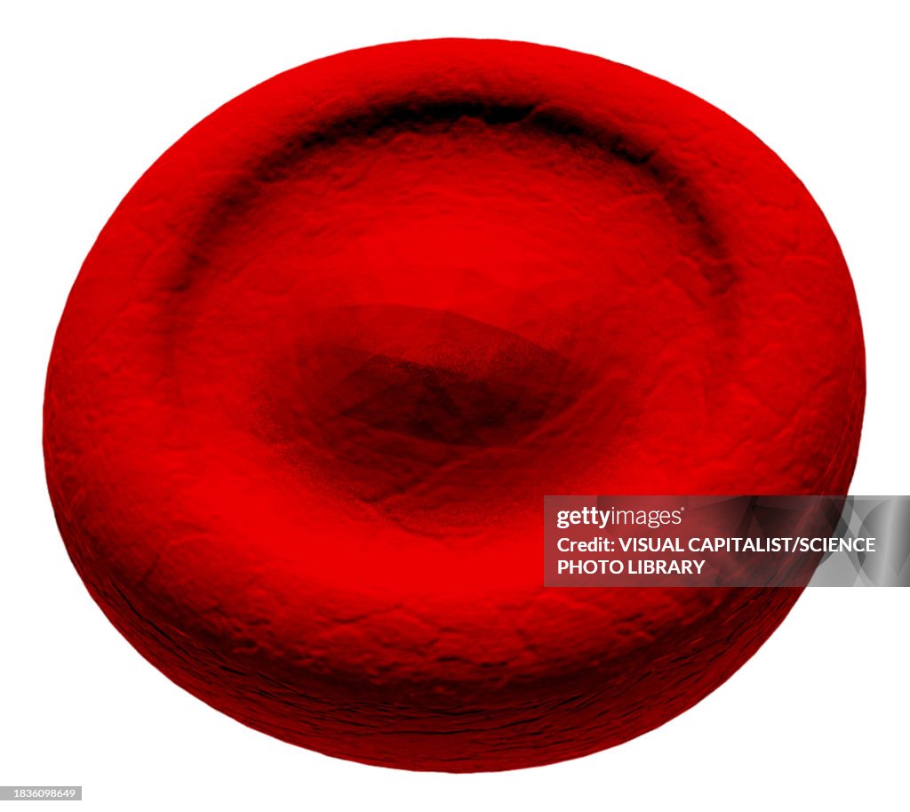 Target cell abnormal red blood cell, illustration