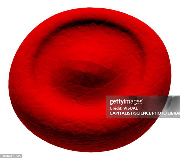 target cell abnormal red blood cell, illustration - red blood cell white background stock illustrations