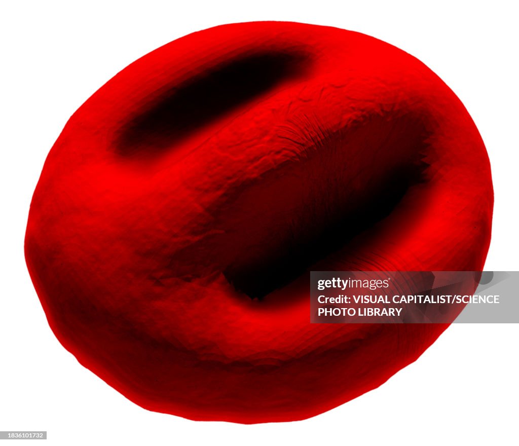Knizocyte abnormal red blood cell, illustration
