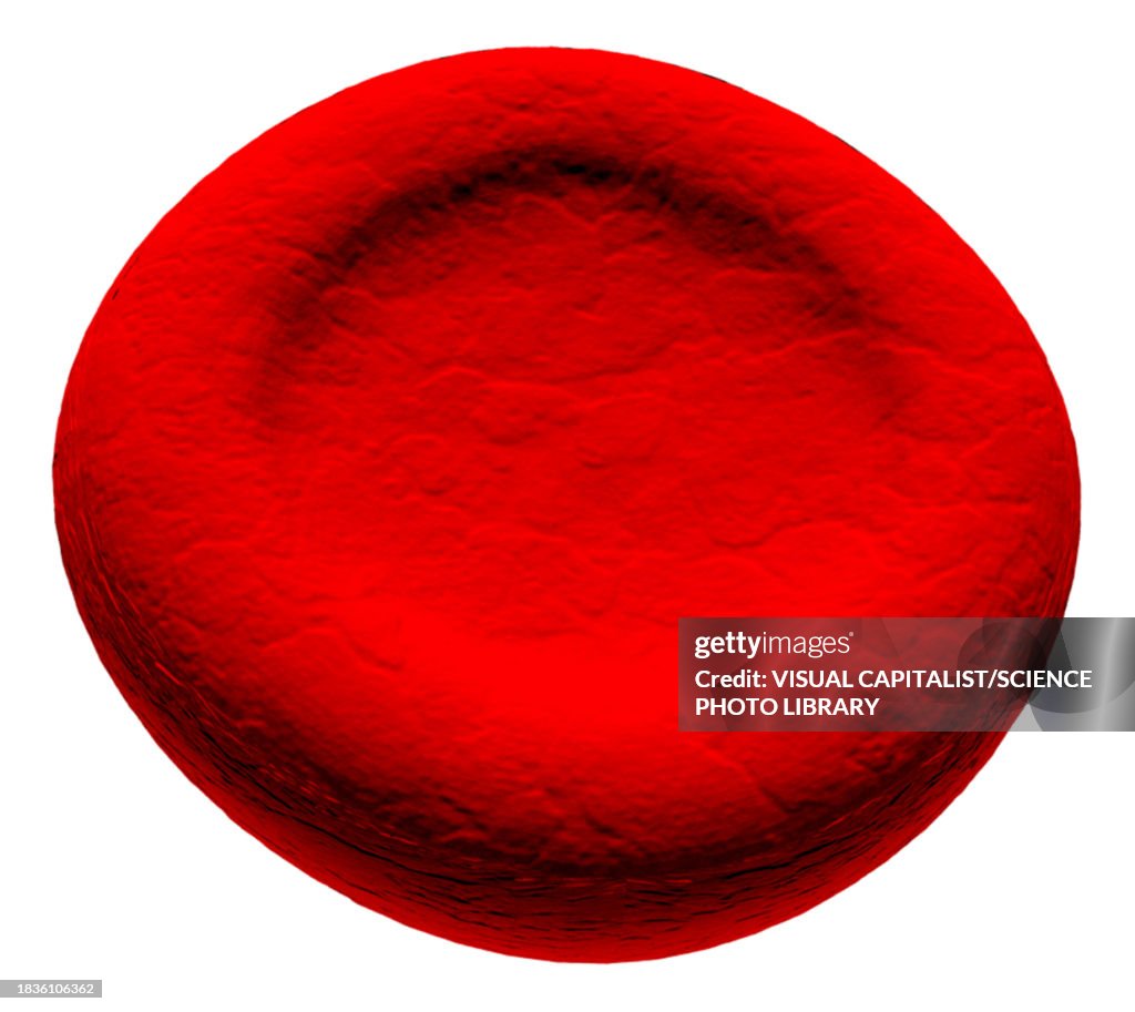 Microcyte abnormal red blood cell, illustration