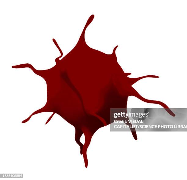 activated platelet, illustration - platelet stock-grafiken, -clipart, -cartoons und -symbole