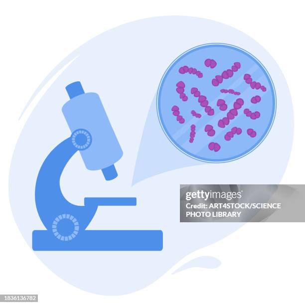 streptococcus bacteria, conceptual illustration - bacillus subtilis stock illustrations