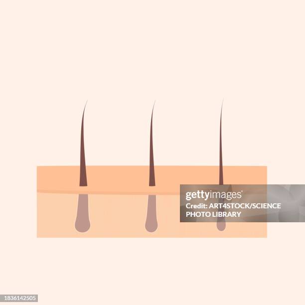 human hair, conceptual illustration - operating center stock illustrations