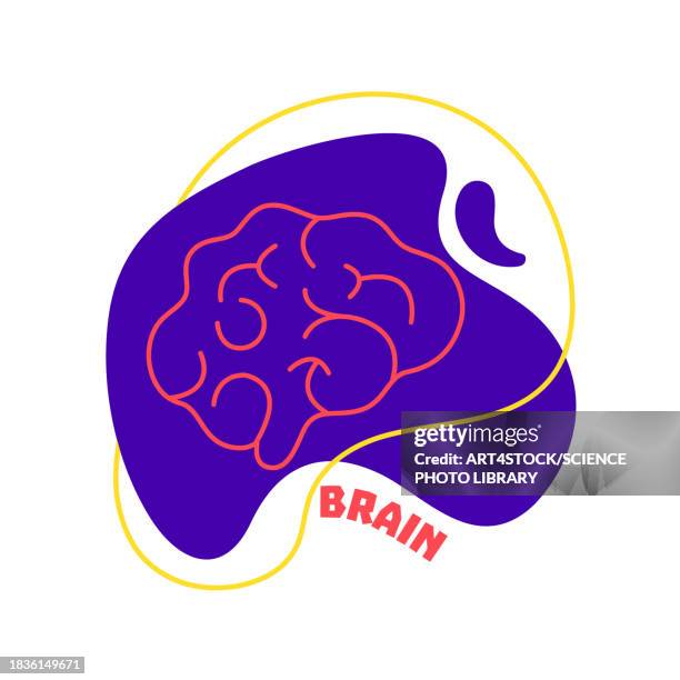 brain, conceptual illustration - multiple sclerosis stock illustrations