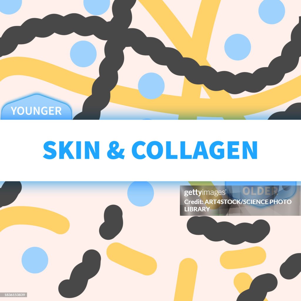 Collagen, conceptual illustration