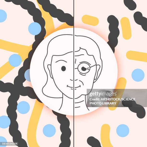 skin aging, conceptual illustration - woman protein powder stock illustrations