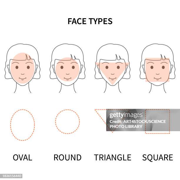 face shapes, conceptual illustration - cosmetics stock illustrations