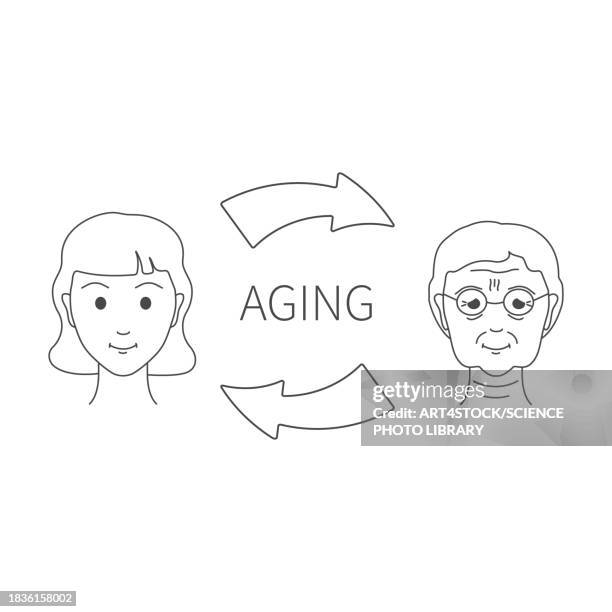 anti-age treatment, conceptual illustration - cosmetics stock illustrations
