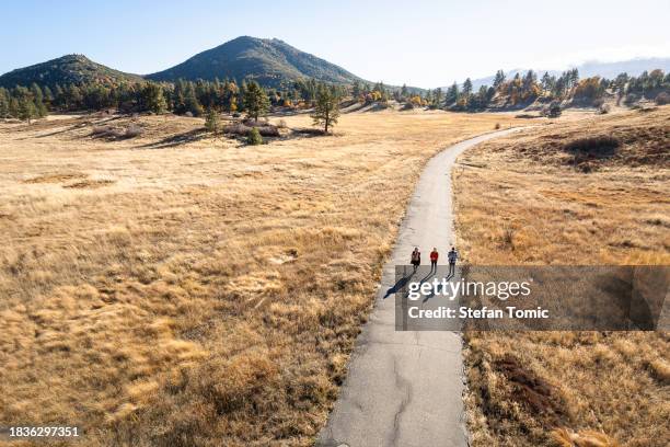 mountain retreat: people in tranquil fir forest clearing, california - julian california bildbanksfoton och bilder