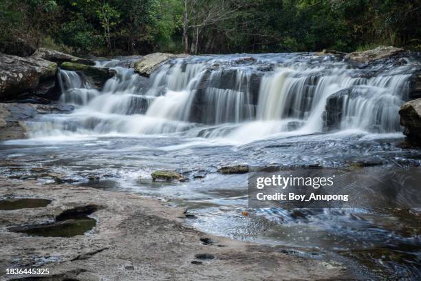 a stream or body of water flowing through jungle in phu kradueng national park of loei province, thailand. - stream body of water fotografías e imágenes de stock