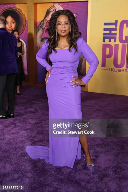 Oprah Winfrey attends the Los Angeles Premiere of Warner Bros.' "The Color Purple" at Academy Museum of Motion Pictures on December 06, 2023 in Los...
