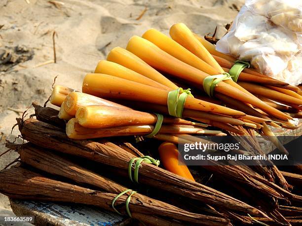 edible boiled palm roots - tiruchendur stock pictures, royalty-free photos & images