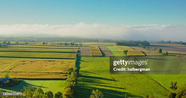 drone shot of farmland in lycoming county, pennsylvania on a misty fall morning - bondgård bildbanksfoton och bilder