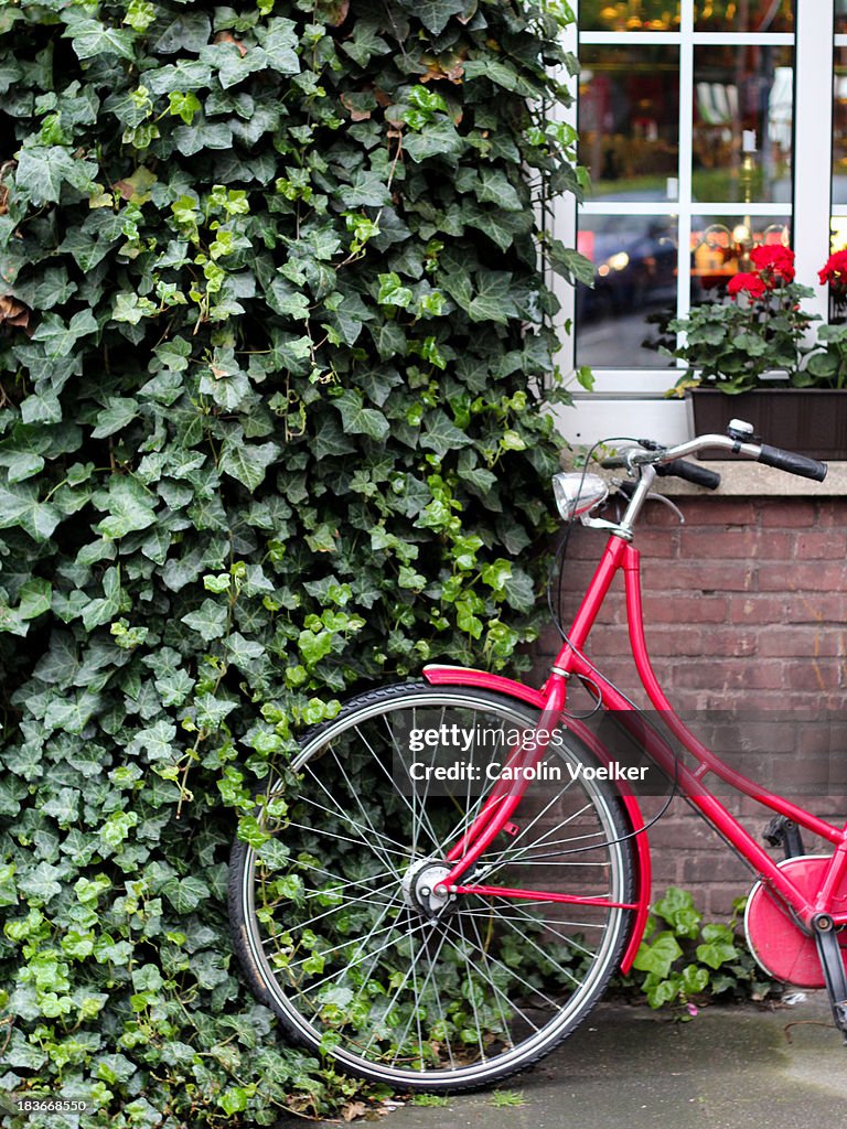 A red bicycle leaning against a wall
