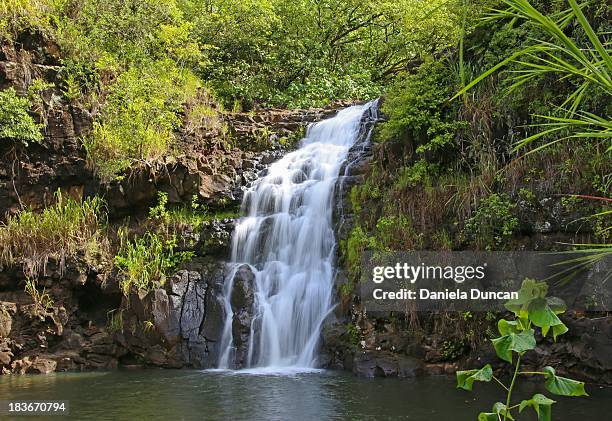 waimea falls - waimea falls stock pictures, royalty-free photos & images