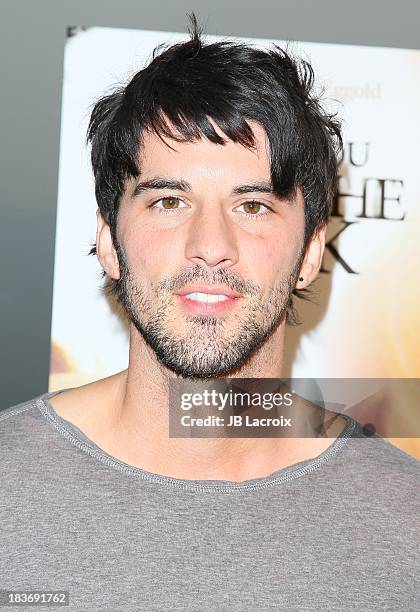 Jaz Martin attends the "I Will Follow You Into The Dark" Los Angeles premiere held at the Landmark Theater on October 8, 2013 in Los Angeles,...