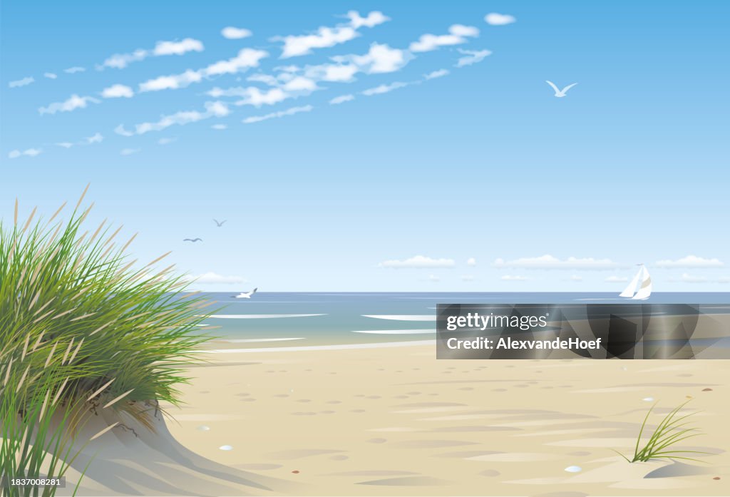 Playa con Dunas
