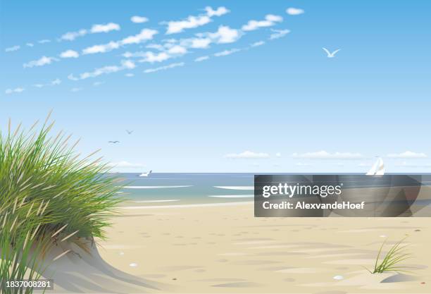 beach with dunes - marram grass stock illustrations