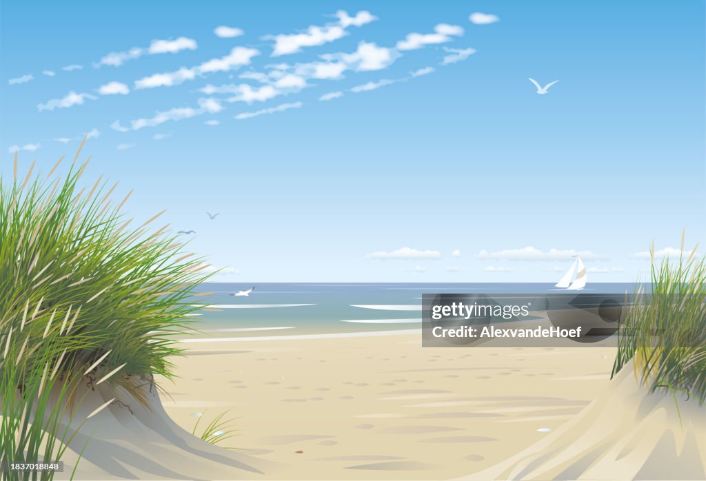Beach with dunes