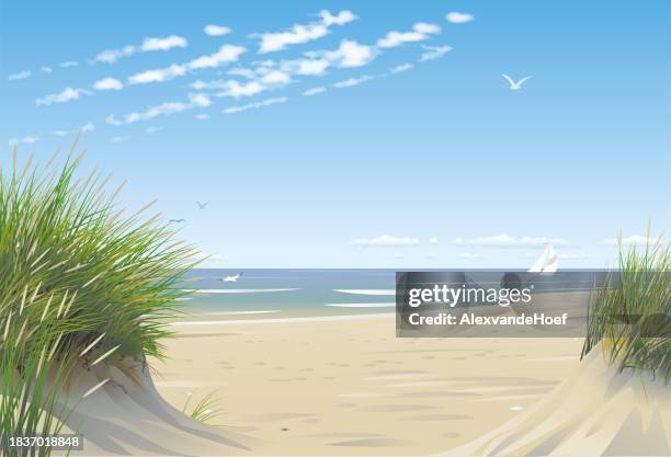 beach with dunes - sand dune stock illustrations