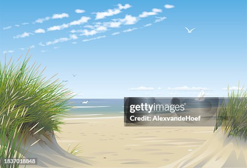 Beach with dunes Beach with dunes