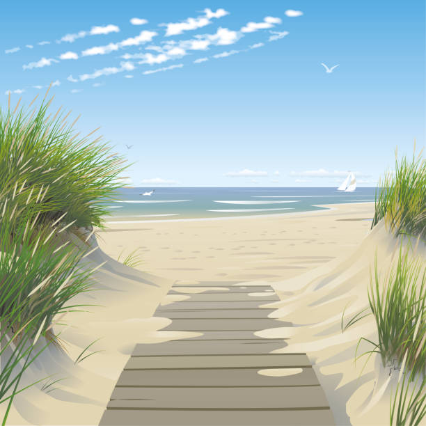 beach with dunes and wooden footpath - beach stock illustrations