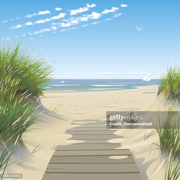 beach with dunes and wooden footpath - sand dune stock illustrations
