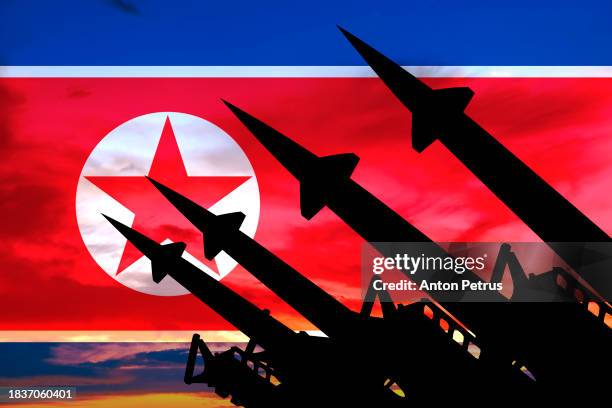 missiles on the background of the north korean flag - nordkorea bildbanksfoton och bilder
