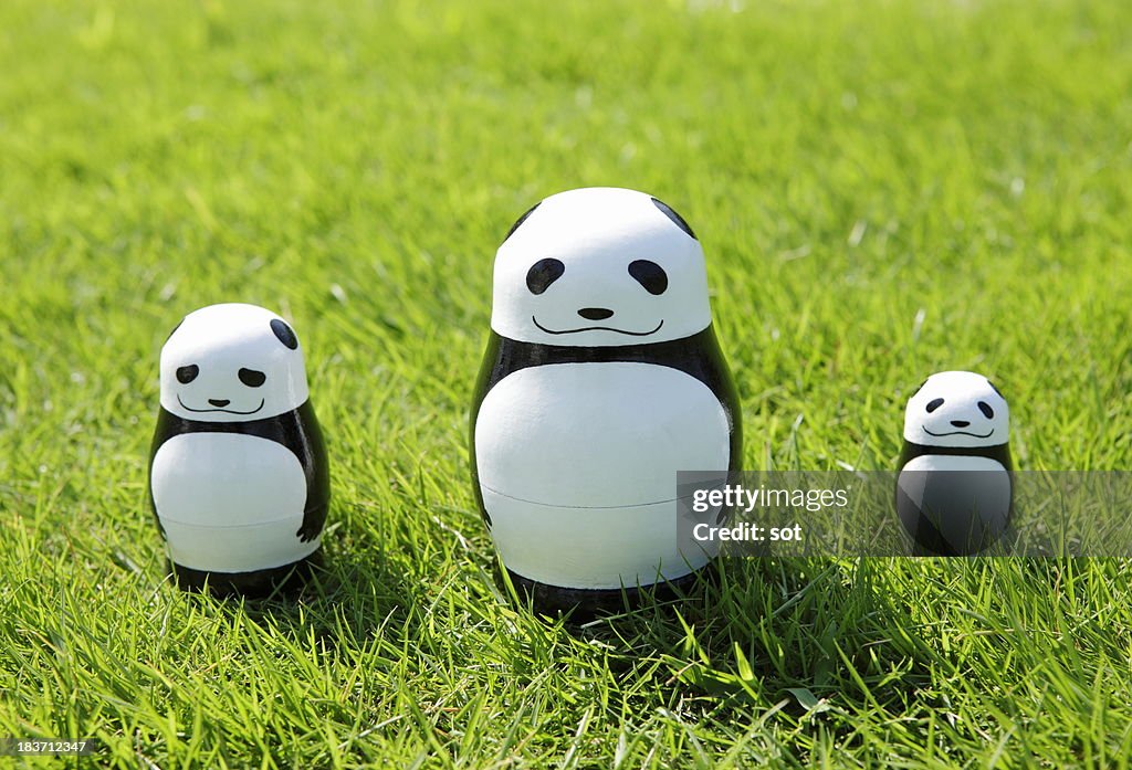 A set of Matryoshka Dolls of panda in lawn