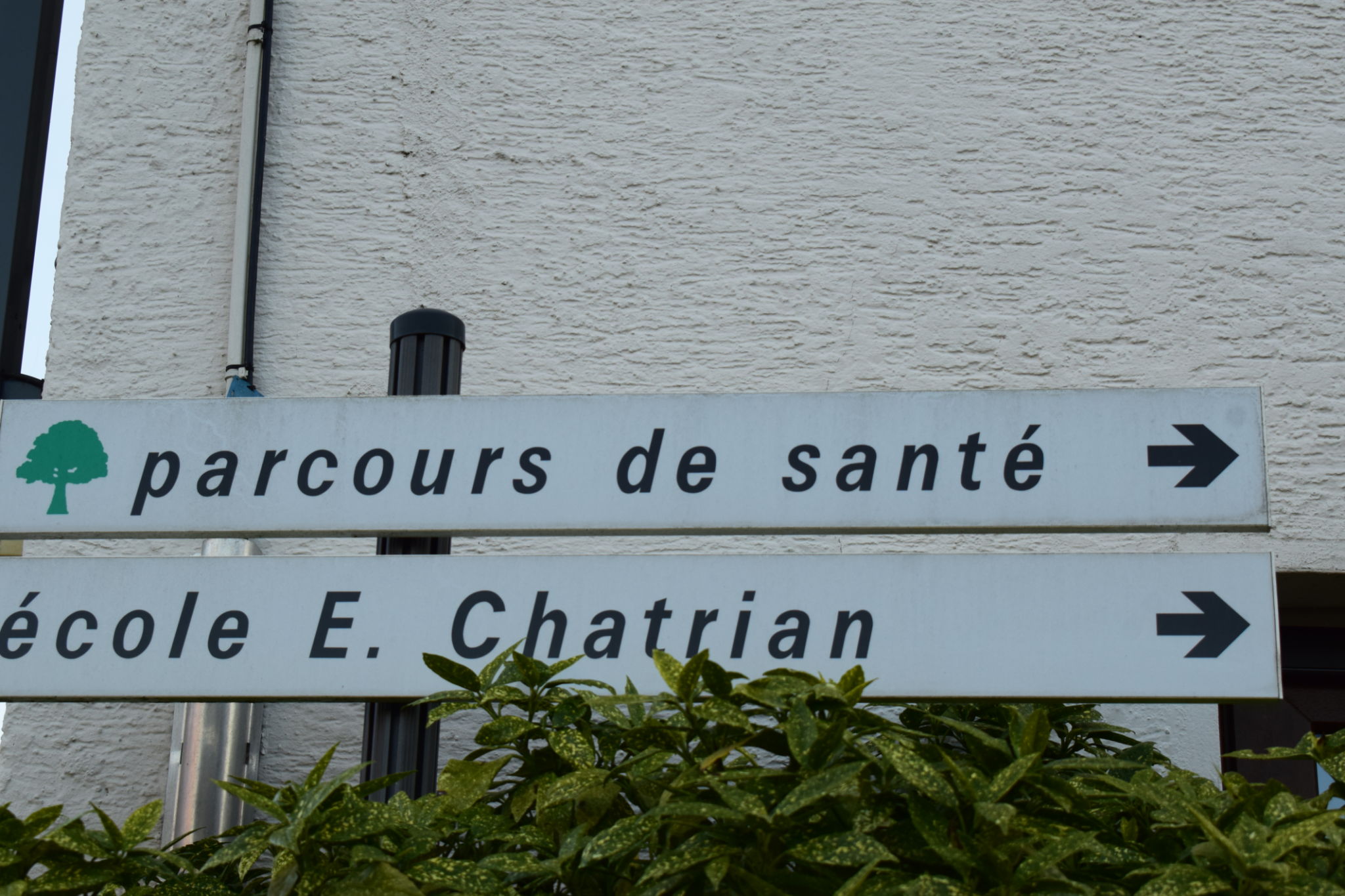 externalisation santé