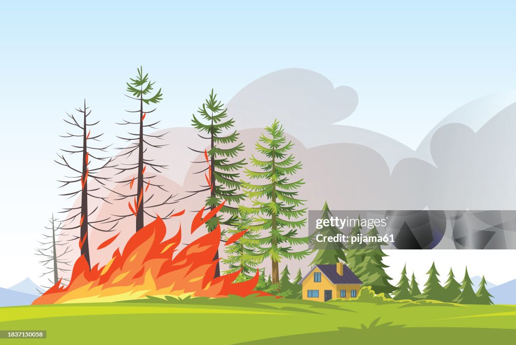 Forest fire. Burning spruces and oak trees, wood plants in flame, natural disaster cartoon illustration.