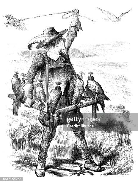 british satire caricature comic cartoon illustration - falconry stock illustrations